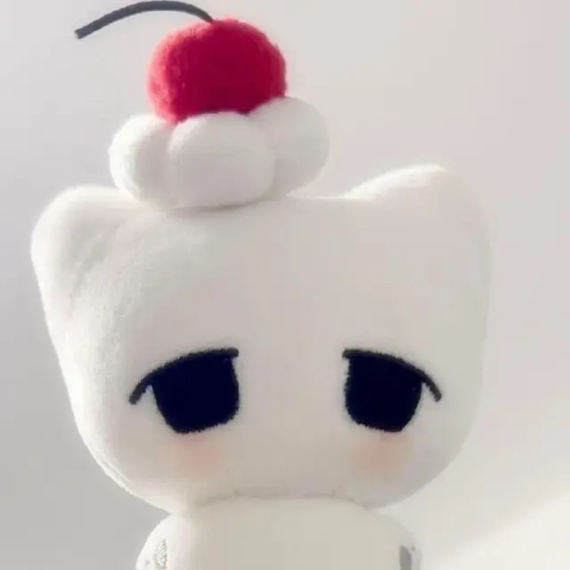 Domi 图片