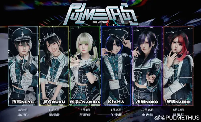PULMETHUS 图片
