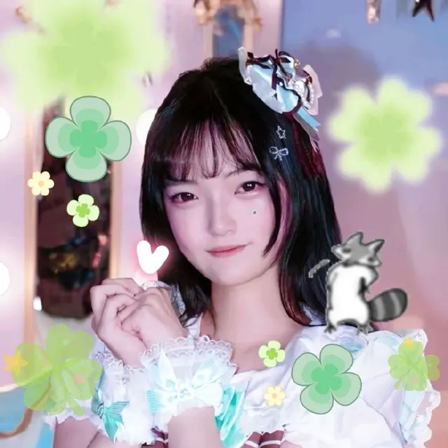 浣熊Lena 图片