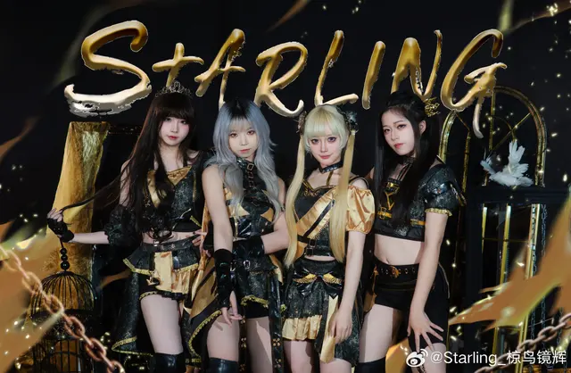 Starling椋鸟镜辉 图片