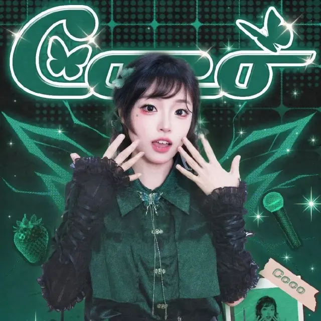 Coco 图片